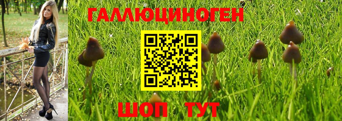 Псилоцибиновые грибы Magic Shrooms Саров